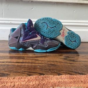 Lebron 11 "Hornets" Size 9